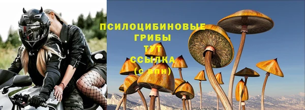 шишки Алексин