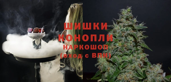 шишки Алексин